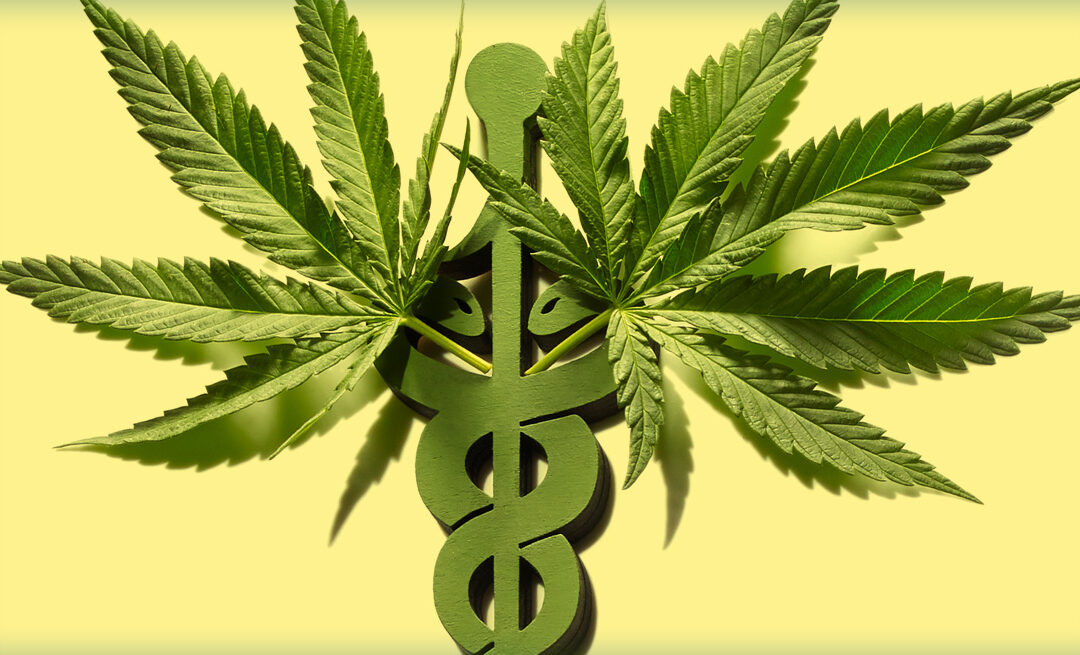 What is CBG and CBGA | Cannabigerol | How can it help you?