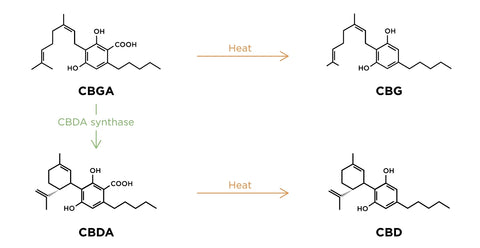 CBGA to CBG conversion