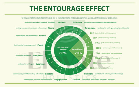 Entourage effect of full spectrum hemp oil CBG, CBGA, CBD, CBDA